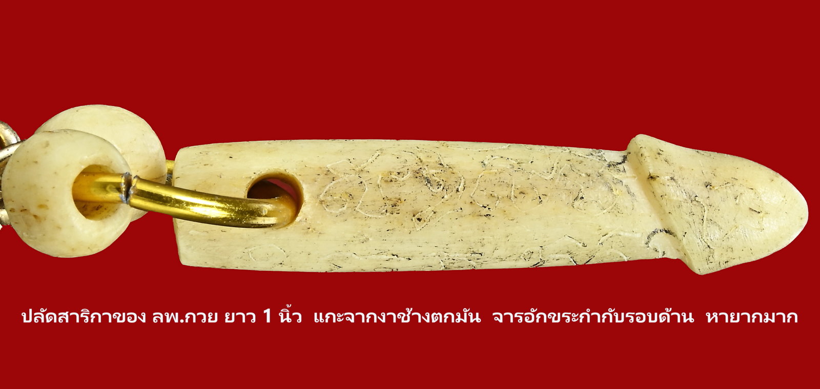 ปลัดสาริกา 1 นิ้ว -0.JPG