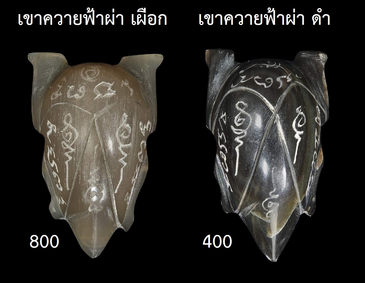 แมลงทับ.jpg