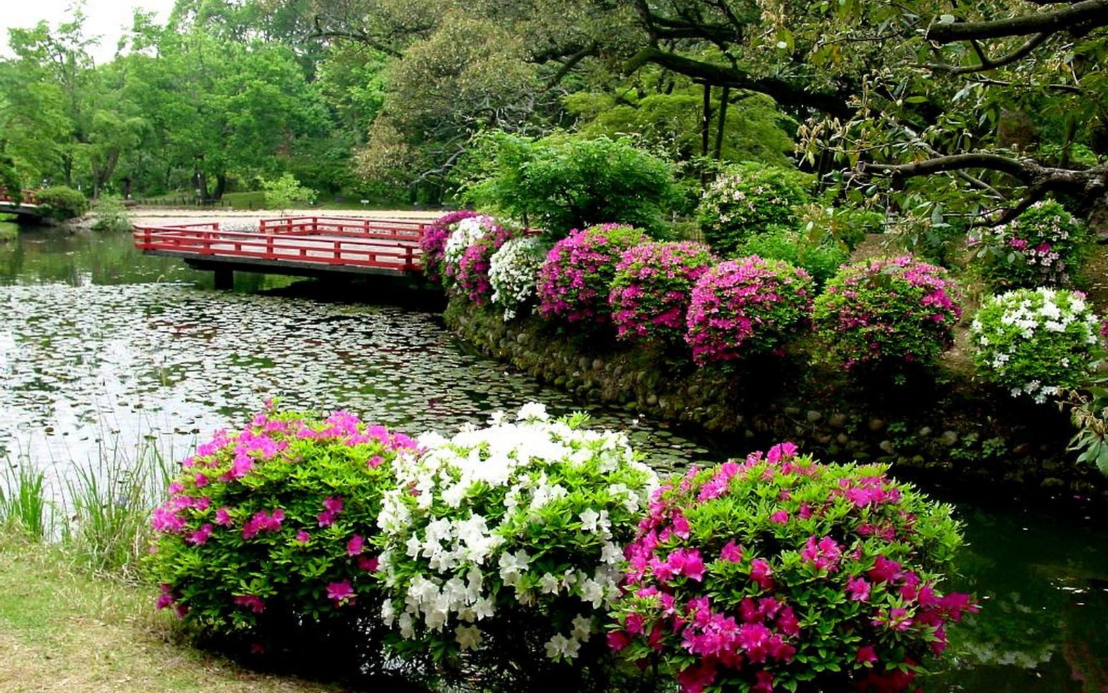 227-2273095_japanese-garden-wallpaper-flower-garden-wallpaper-hd-full.jpg