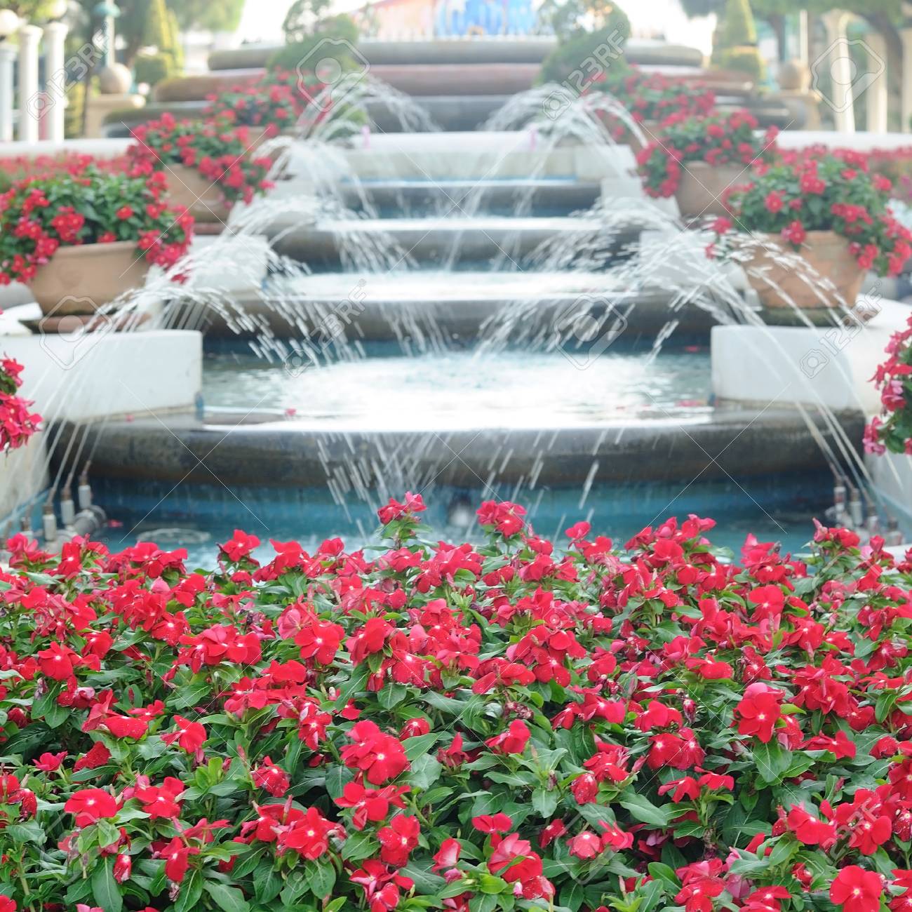 60412372-red-flowers-with-beautiful-fountain_2.jpg