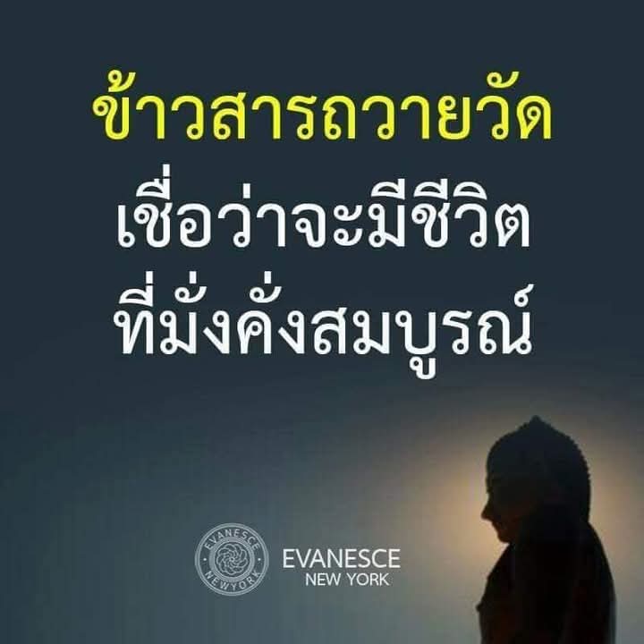 FB_IMG_1748623472795.jpg