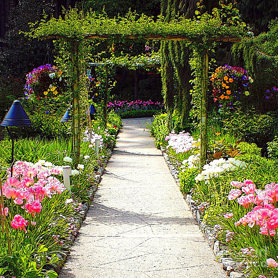 flower-garden--digital-painting-carol-groenen.jpg