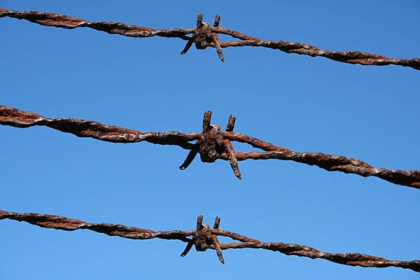 pngtree-rusty-barbed-wire-security-fence-sky-photo-image_1259256.jpg