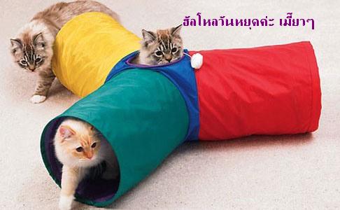 three-way-cat-tunnel-xl.jpg